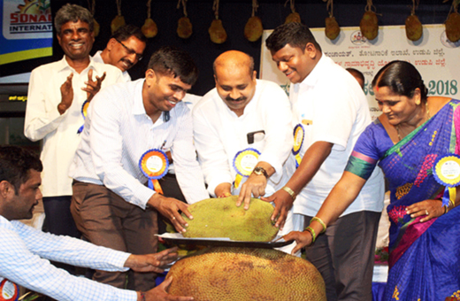udupi jackfruit mela
